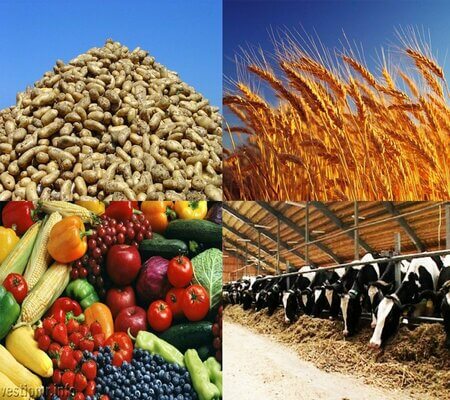 ԳՅՈՒՂԱՏՆՏԵՍՈՒԹՅԱՆ ԱՊԱՀՈՎԱԳՐՈՒԹՅՈՒՆ