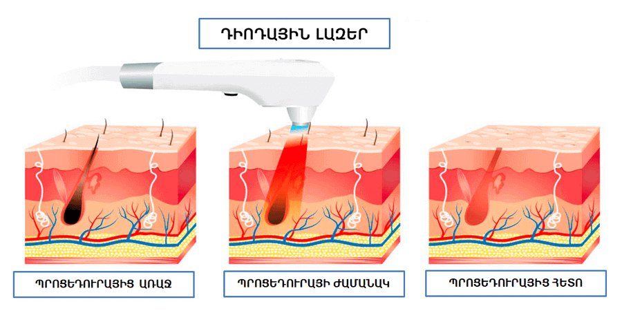 ԷՍԹԵՏԻԿ ԲԺՇԿՈՒԹՅԱՆ ԿԵՆՏՐՈՆ - ԿՈՍՄԵՏՈԼՈԳԻԱԿԱՆ ԿԵՆՏՐՈՆՆԵՐ