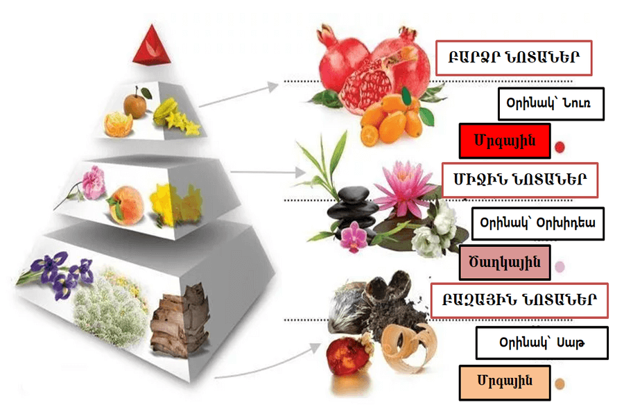 ՕԾԱՆԵԼԻՔԻ ԽԱՆՈՒԹՆԵՐ - ԽԱՆՈՒԹ - ՕԾԱՆԵԼԻՔԻ ՆԵՐՄՈՒԾՈՒՄ - ՕԾԱՆԵԼԻՔ ՆԵՐՄՈՒԾՈՂՆԵՐ